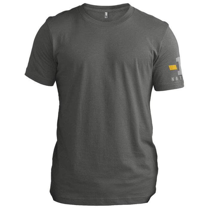 Dispatch: Thin Gold Line Flag 2023