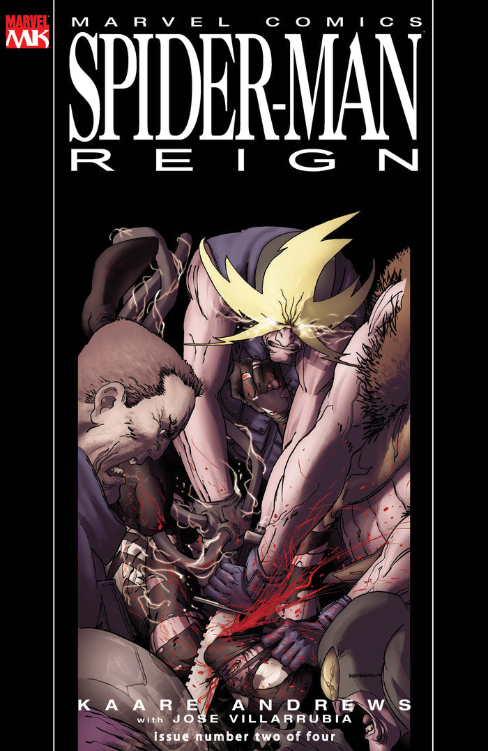 Spider-Man Reign #2 2007 Marvel Knights
