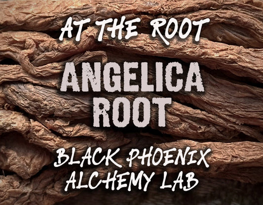 Angelica Root Perfume Oil