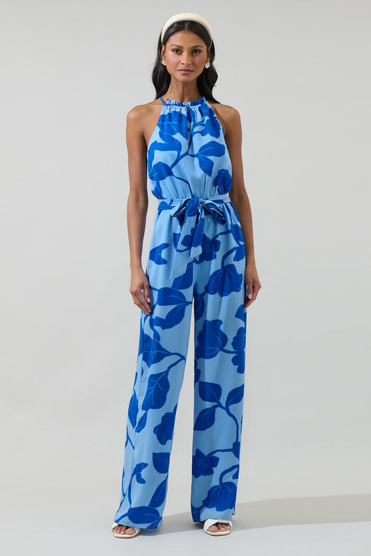 Ariya Garden Lighthearted Trapeze Jumpsuit