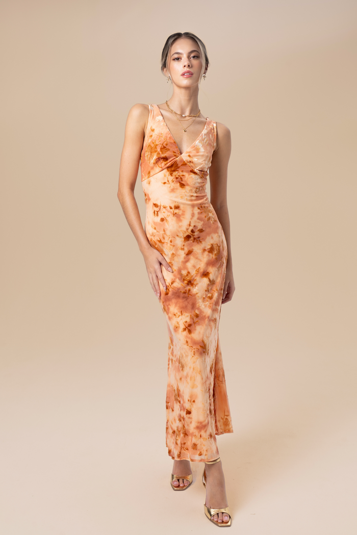 AU 6 / Apricot