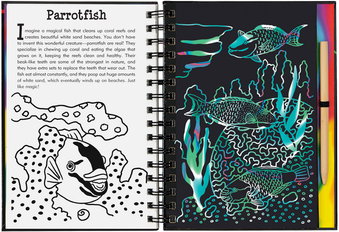 Coral Reefs Scratch and Sketch