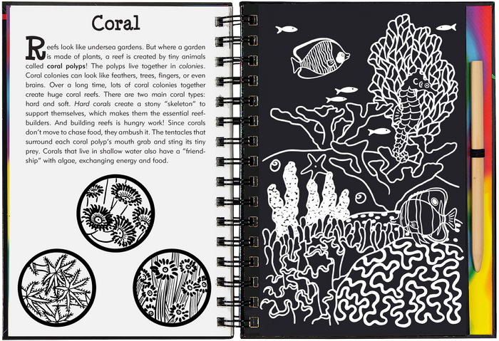 Coral Reefs Scratch and Sketch