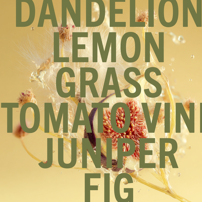 Dandelion Fig Fragrance 1.0oz