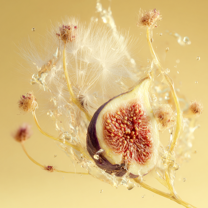 Dandelion Fig Fragrance 1.0oz