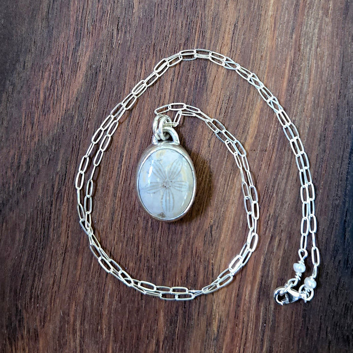 Fossilized Sand Dollar Pendant Necklace