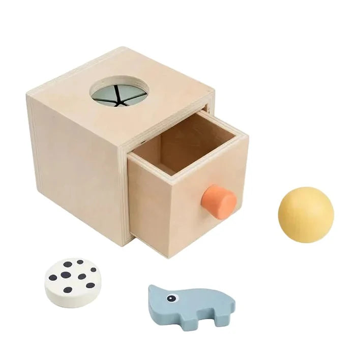 Kids Wooden Hide and Find Educational Learning Toy Box – Nozo Mixed Colour