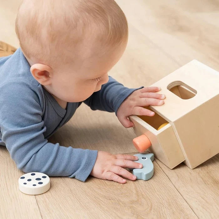 Kids Wooden Hide and Find Educational Learning Toy Box – Nozo Mixed Colour