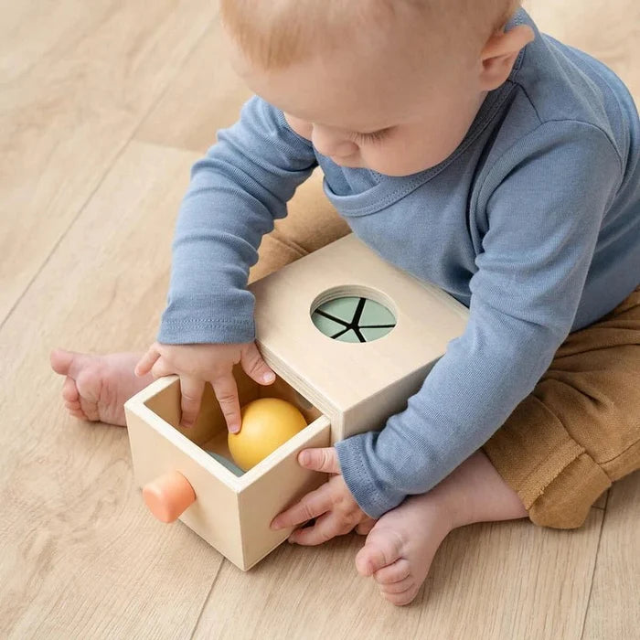 Kids Wooden Hide and Find Educational Learning Toy Box – Nozo Mixed Colour