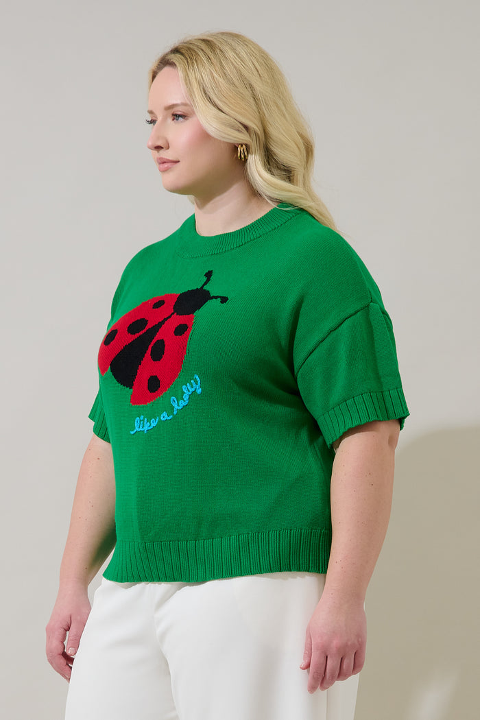Ladybug Drop Shoulder Sweater Top Curve