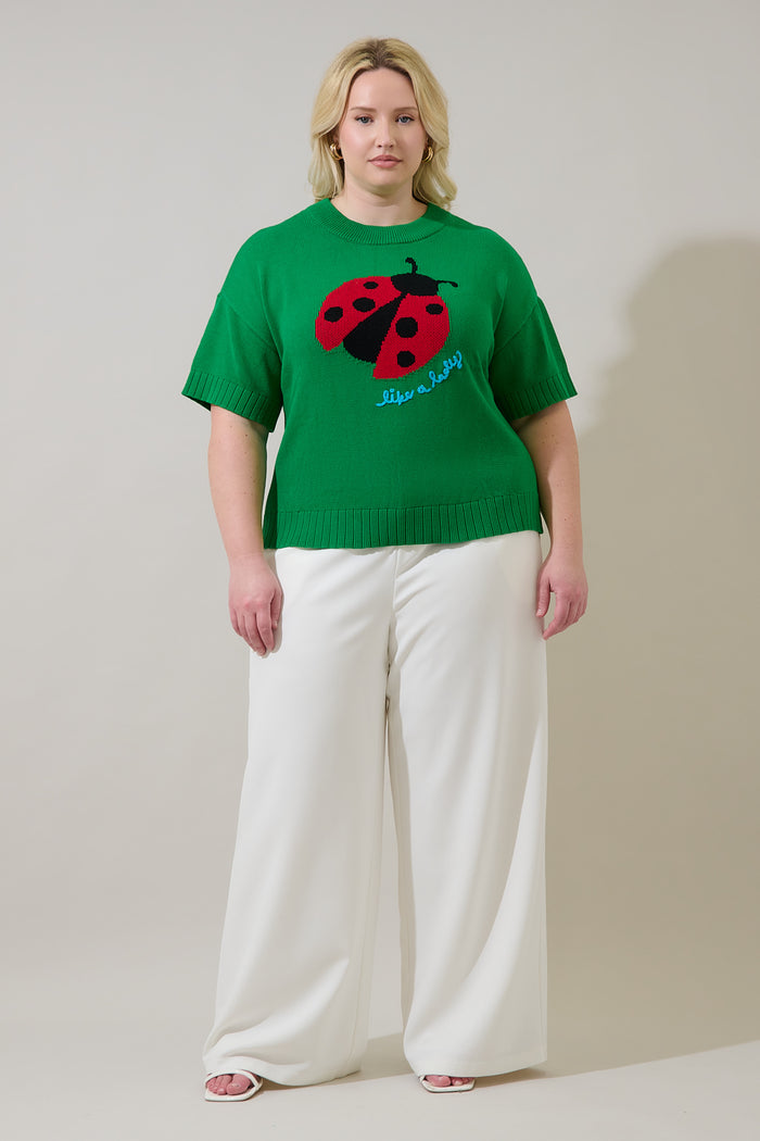 Ladybug Drop Shoulder Sweater Top Curve