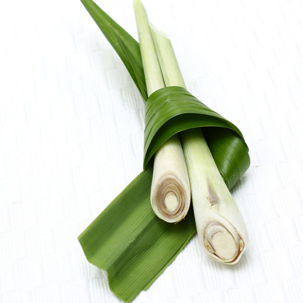 Lemongrass Cochin - Essential Oil
