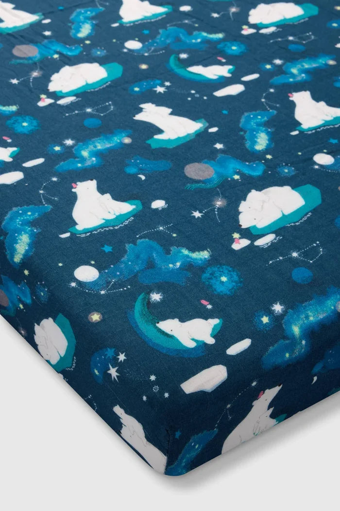 Stargazing Bear