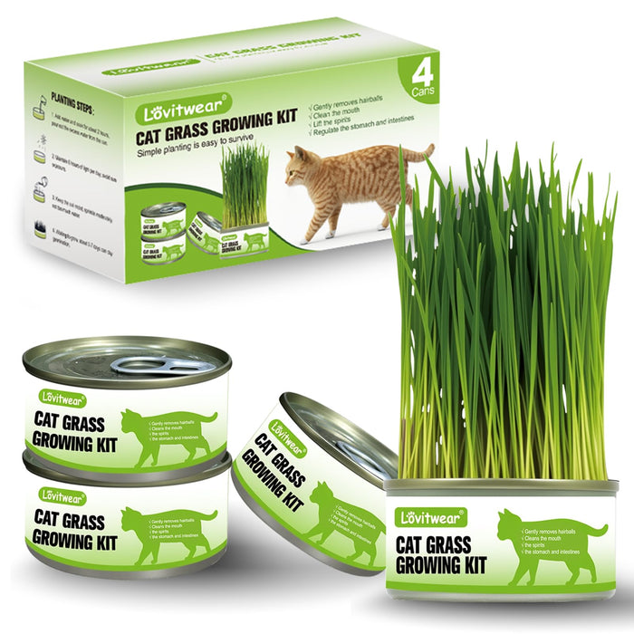 Premium Cat Grass Growing Kit - 4-Pack, Easy Planting for a Natural Treat for Cats and Other Pets