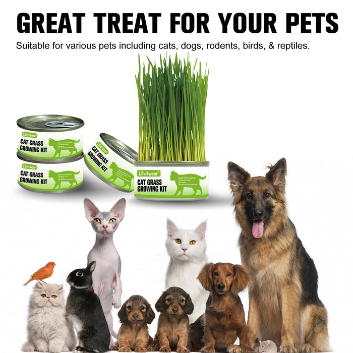 Premium Cat Grass Growing Kit - 4-Pack, Easy Planting for a Natural Treat for Cats and Other Pets