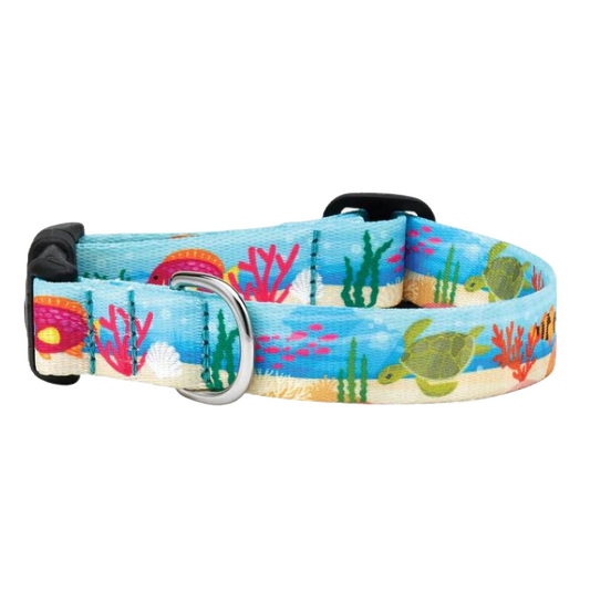OCEANIC-SPORT-DOG-COLLAR