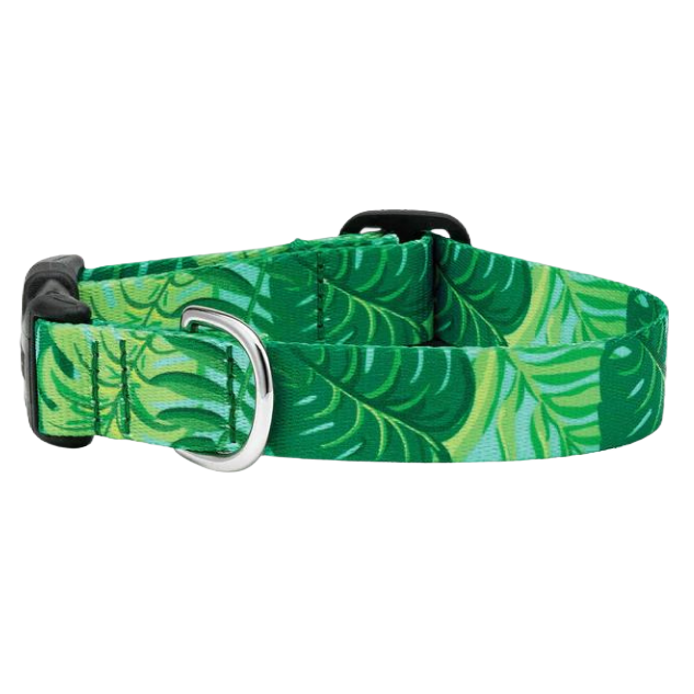 PALMS-SPORT-DOG-COLLAR