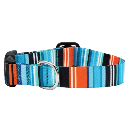 SERAPE-STRIPE-SPORT-DOG-COLLAR