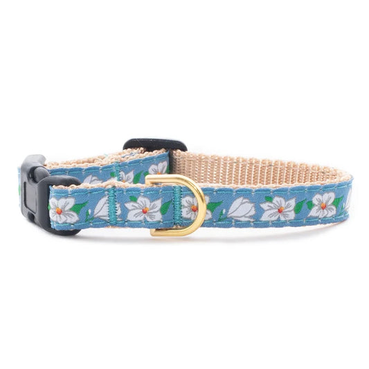 Teacup Collar | Magnolia