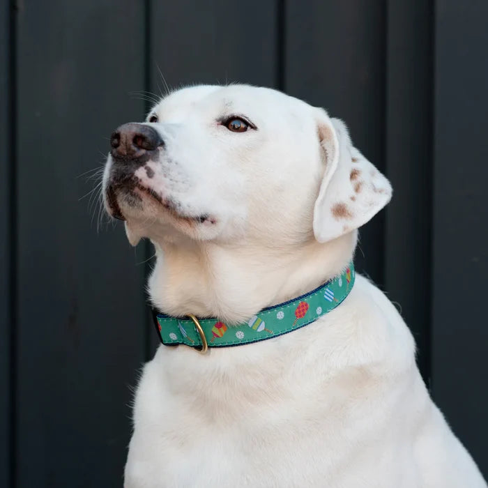 Teacup Collar | Pickleball