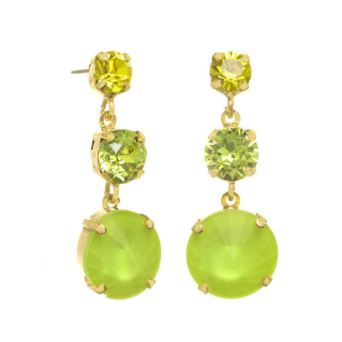 Torin Earrings in Electrics