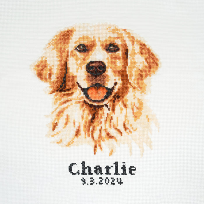 Trimits Counted Cross Stitch Kit Large: Golden Lab Retriver , 36x36cm, Includes Aida Fabric, Pre-Sorted Threads, Needle, Personalizing...