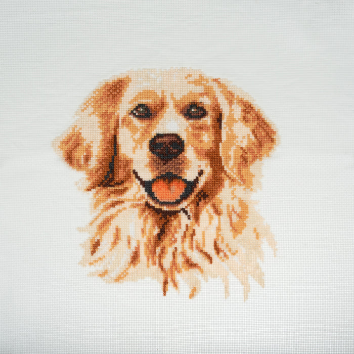 Trimits Counted Cross Stitch Kit Large: Golden Lab Retriver , 36x36cm, Includes Aida Fabric, Pre-Sorted Threads, Needle, Personalizing...