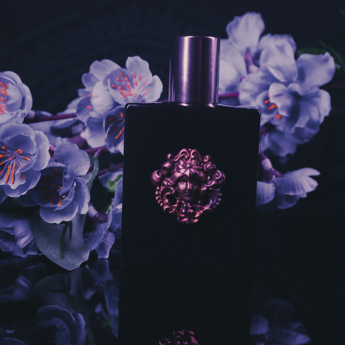 Vampire Romance Extrait | Studio Edition Collectors Bottle