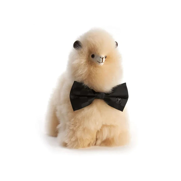 Weich Paco Alpaca