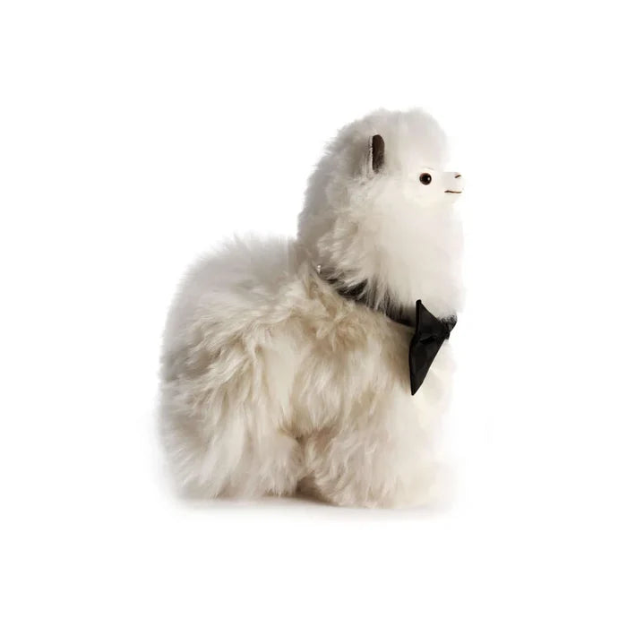 Weich Paco Alpaca