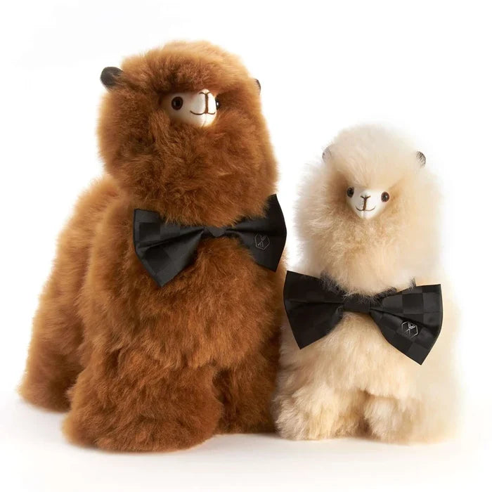 Weich Paco Alpaca