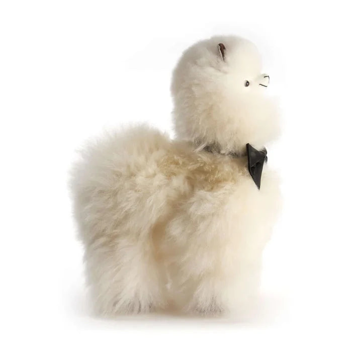 Weich Paco Alpaca
