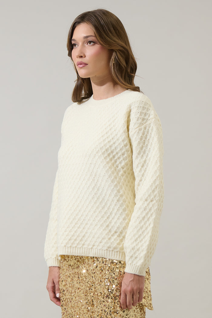 Zavina Knit Sweater
